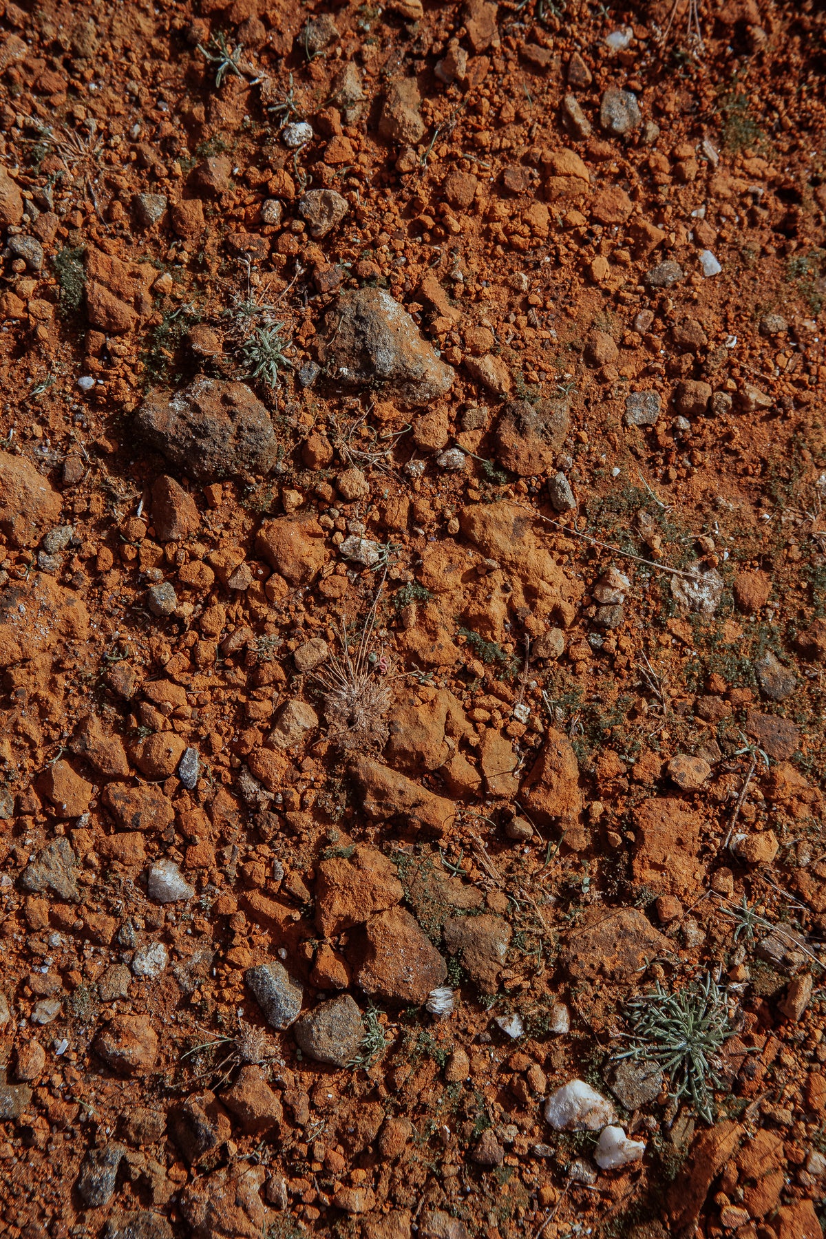 Discover your kind of clay